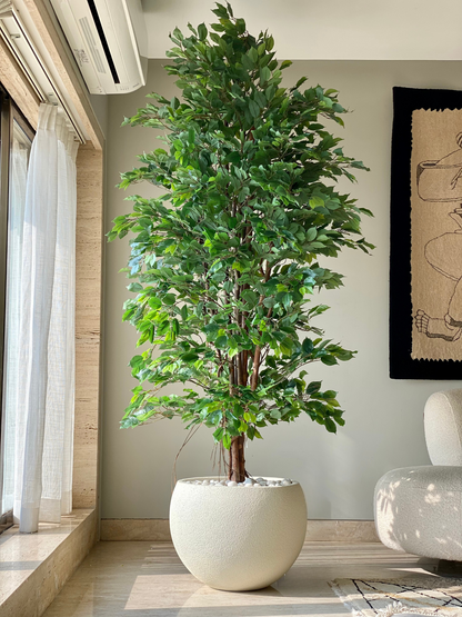 Artificial Aerial Root Ficus Plant - 7.5 Feet