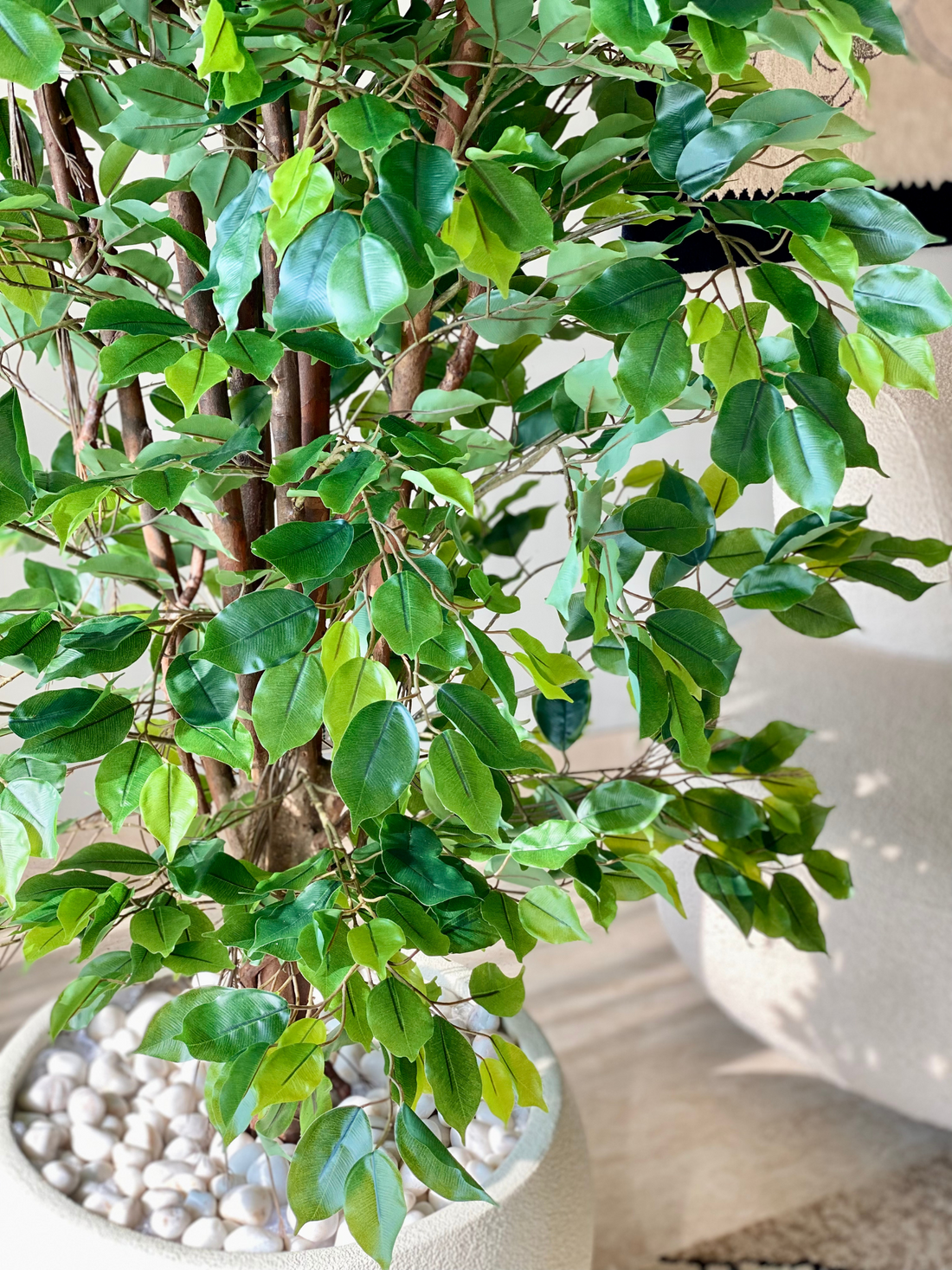 Artificial Aerial Root Ficus Plant - 7.5 Feet