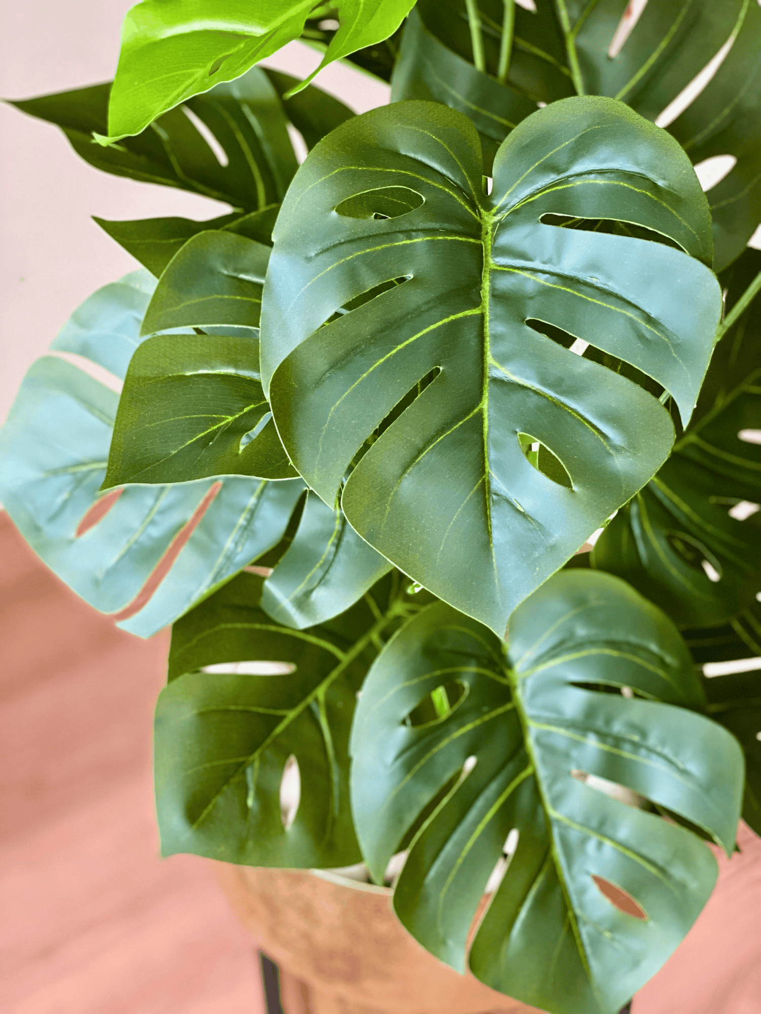 Artificial Botanic Monstera Plant- 2 Feet