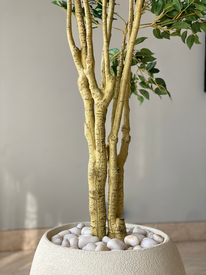 Tropical Ficus Artificial Tall Plant - 6.5 Feet