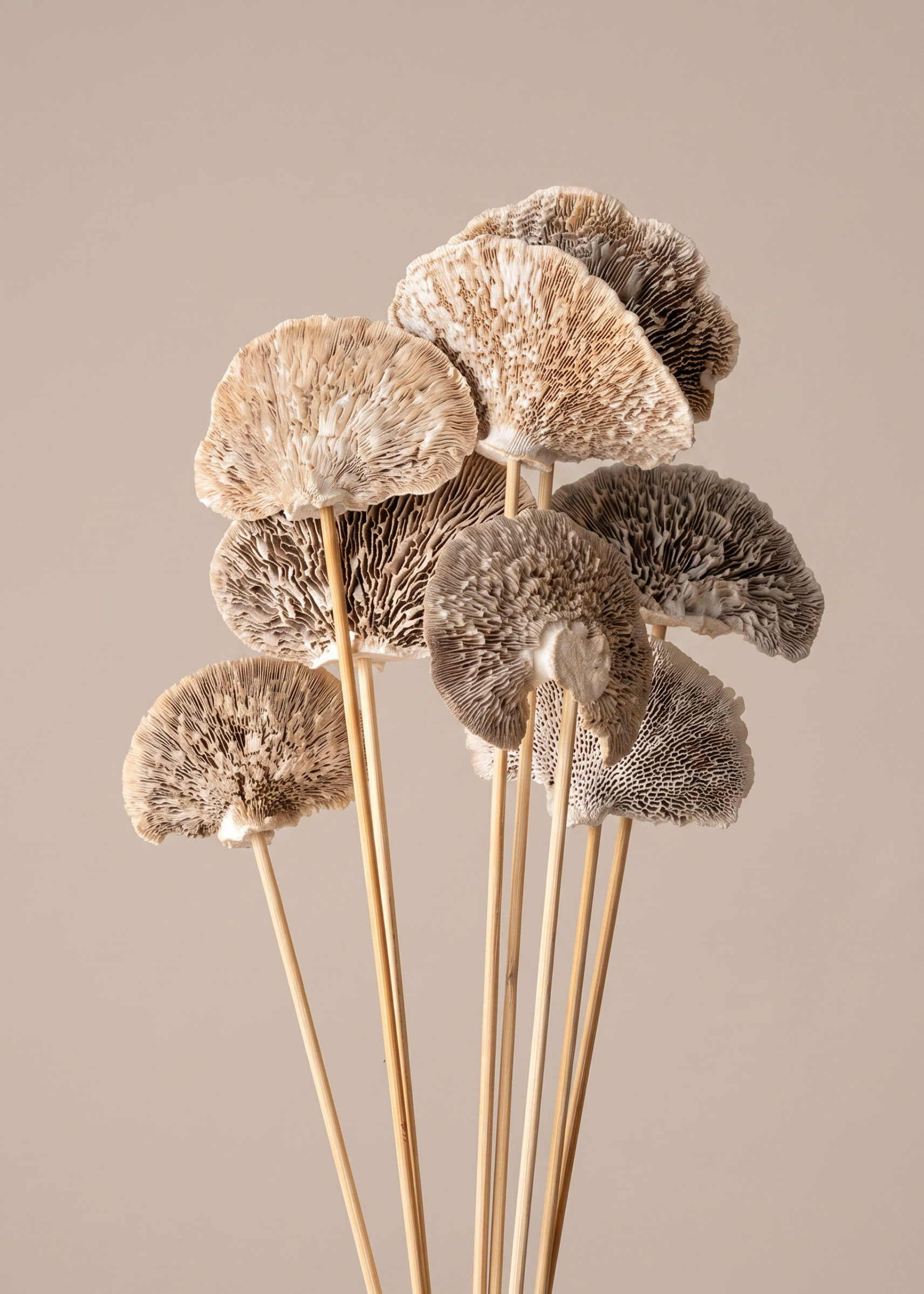 Wild Mushroom Bunch - (Beige)Set of 8