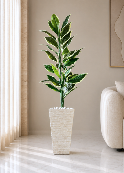 Carved Planters - Ivory