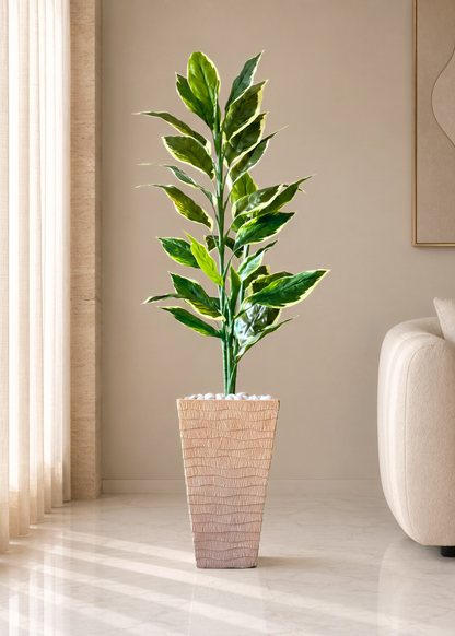 Carved Planters - Terracota Beige