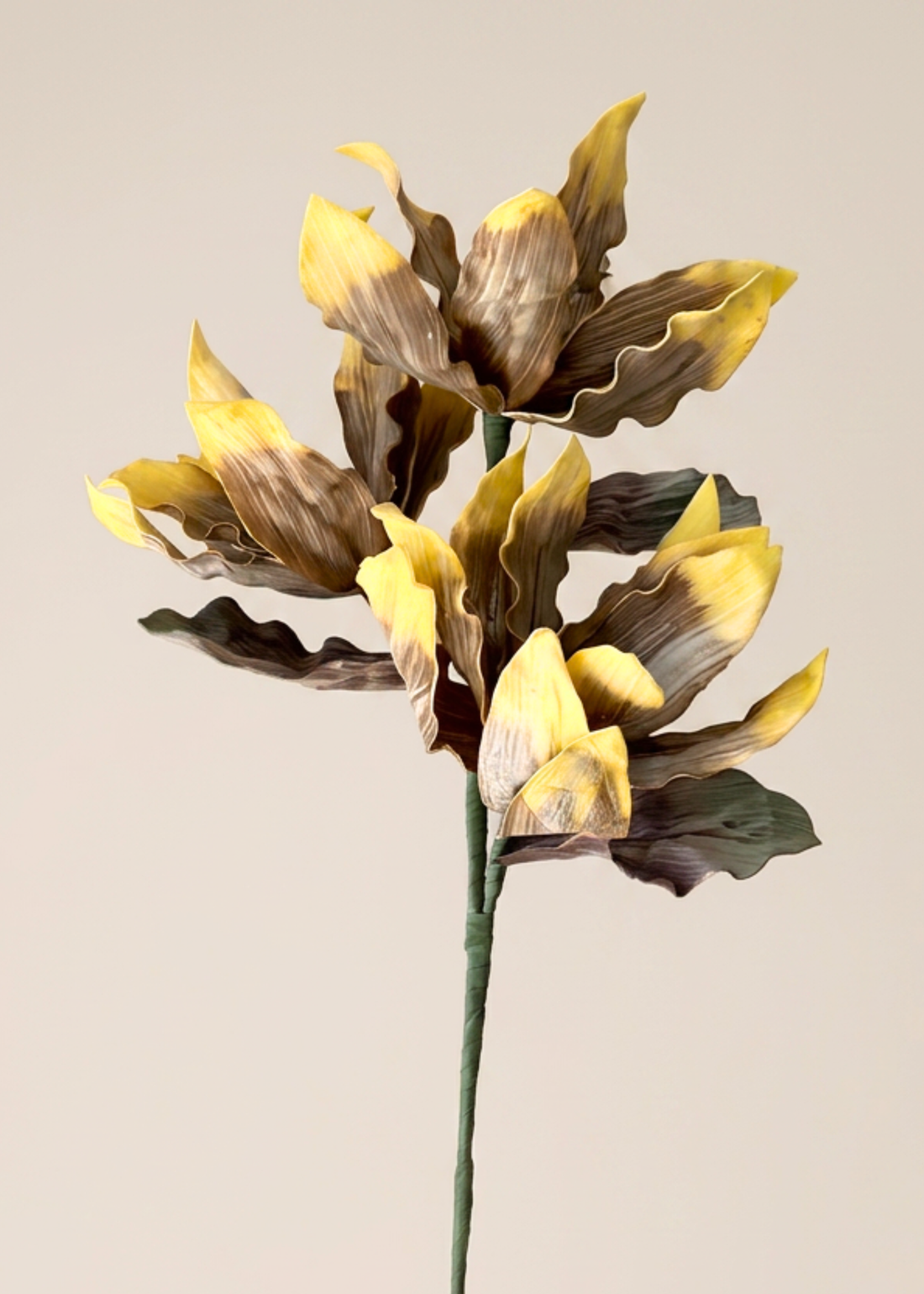 Artificial Magnolia Flower Stem -  Amber Ombre (One Stem)