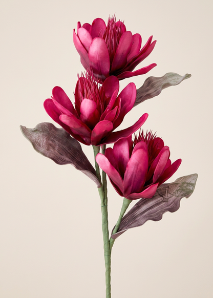 Artificial Corolla Flower Stem - Magenta Ombre (One Stem)