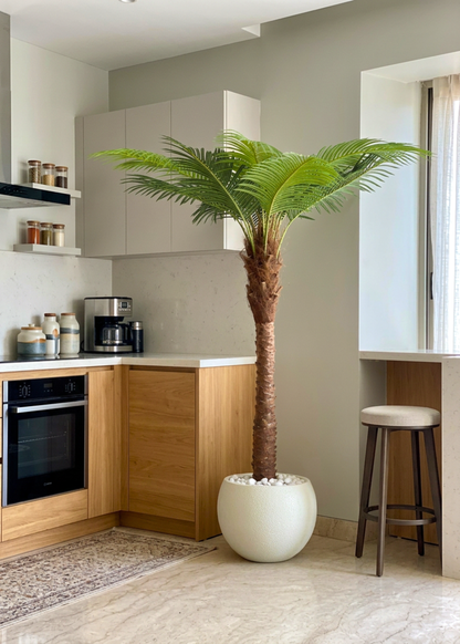 Artificial Phoenix Date Palm Tree - 6 Feet