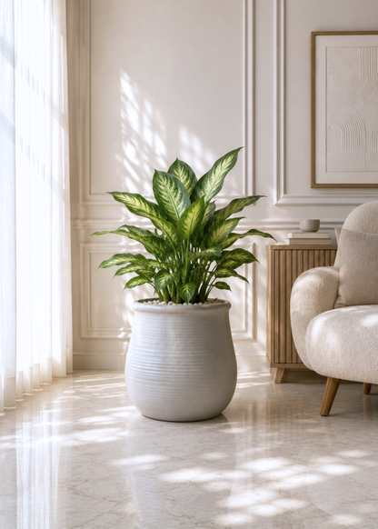 Garden Muse Planters - Beige
