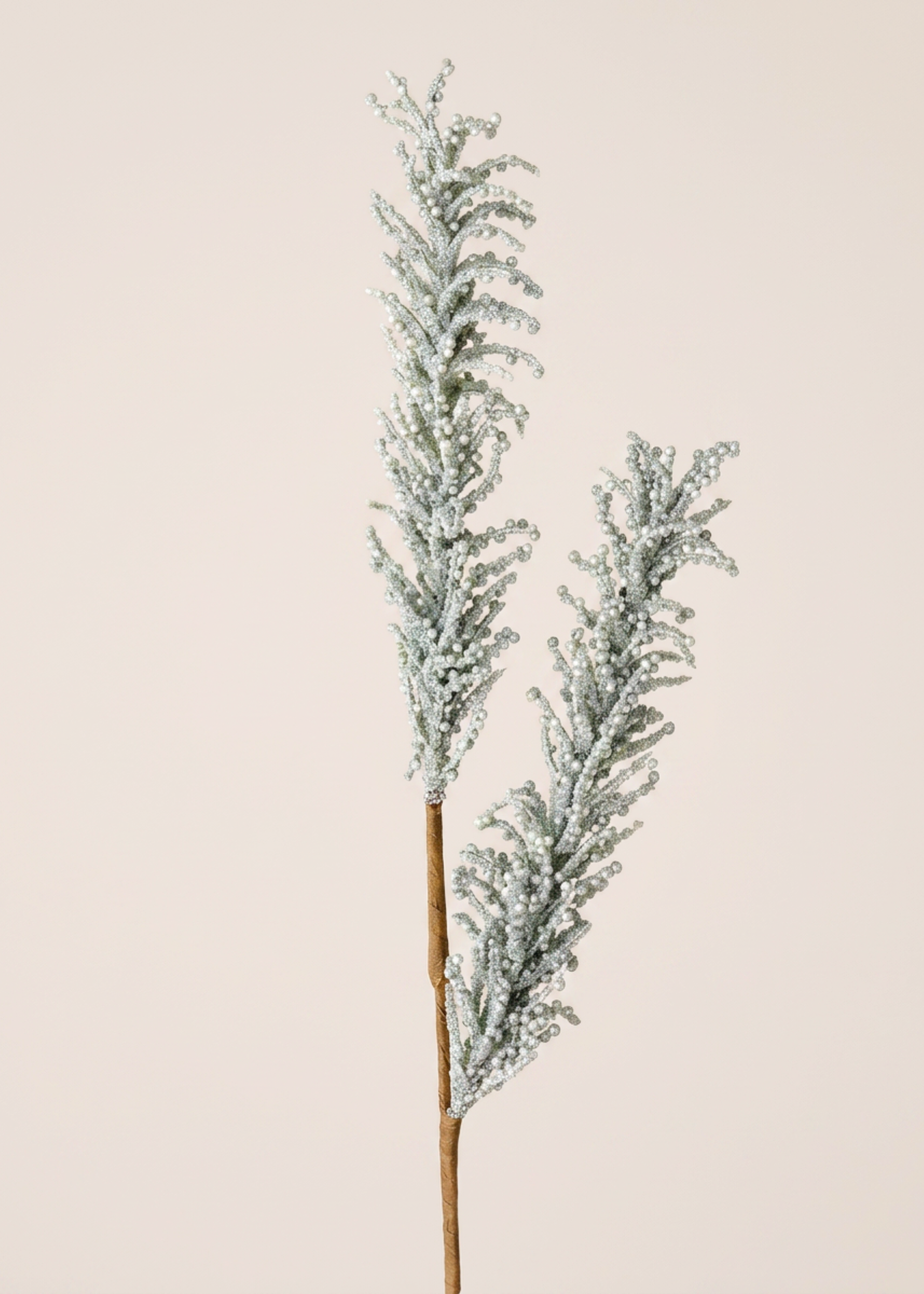 Artificial Pampas Reed Stem - Blue (One Stem)
