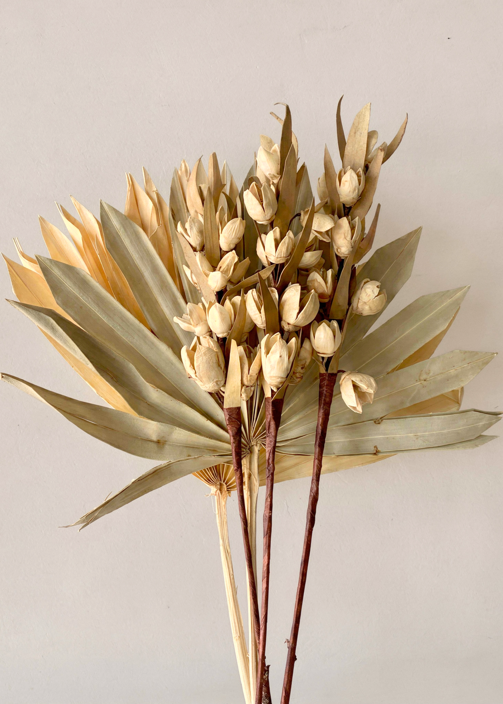 Desert Bakuli Palm Bunch