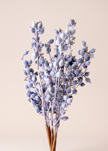 Frosted Berry Bunch - Set of 8