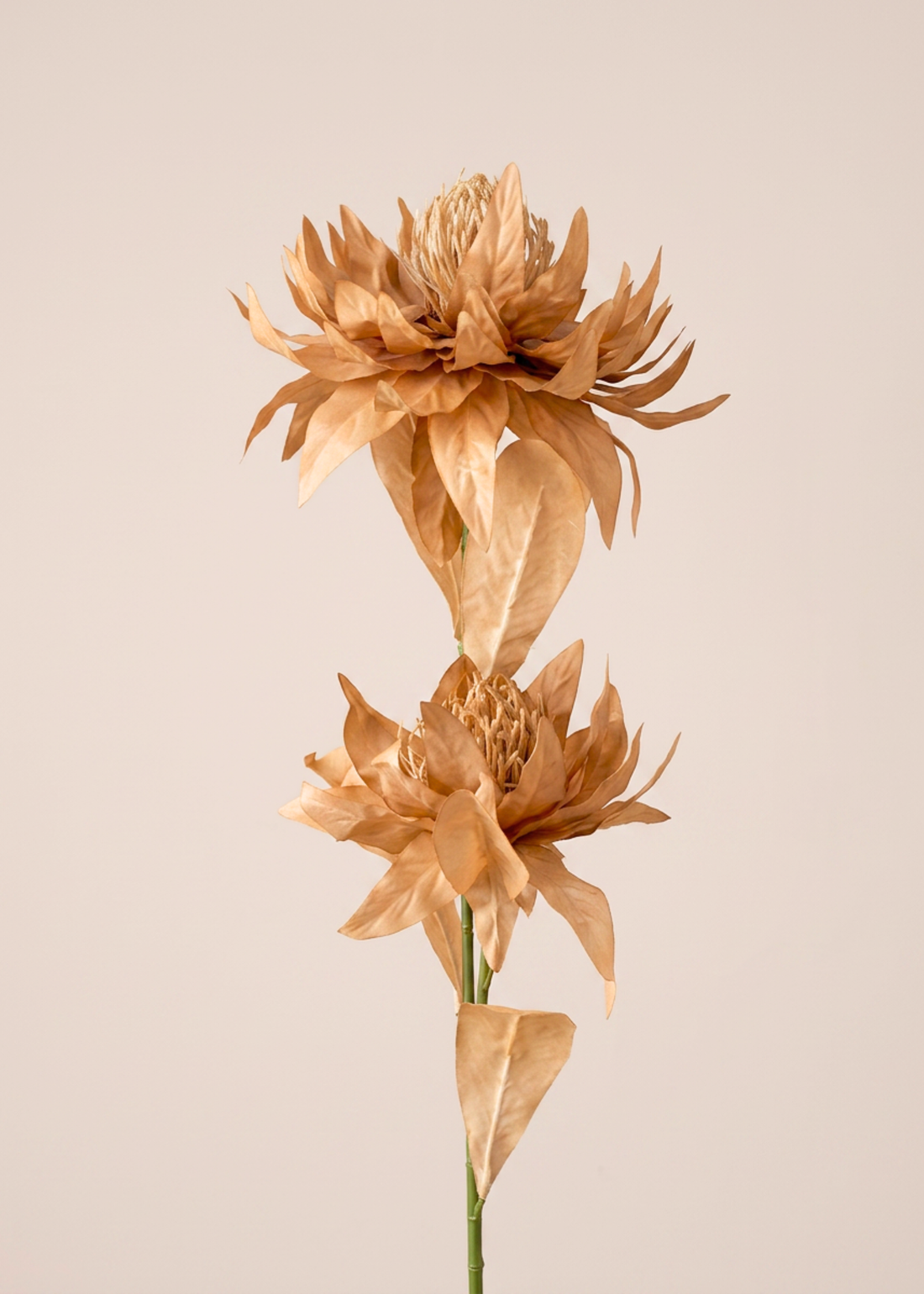 Artificial Portea Flower Stem - (One Stem) Light Brown