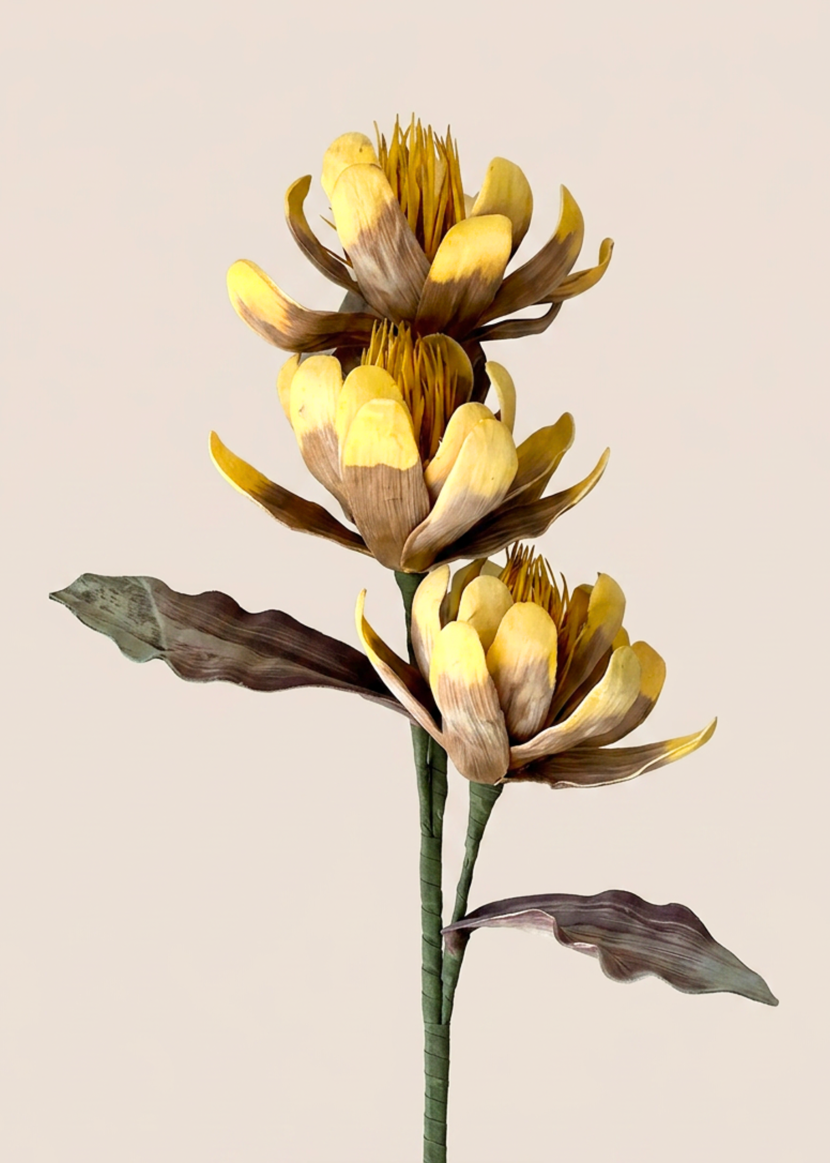 Artificial Corolla Flower Stem - Amber Ombre (One Stem)
