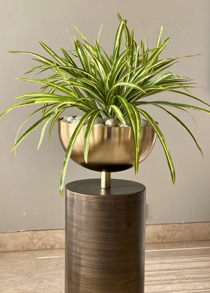 Artificial Yucca Dracenna Bunch Plant - Set of 2