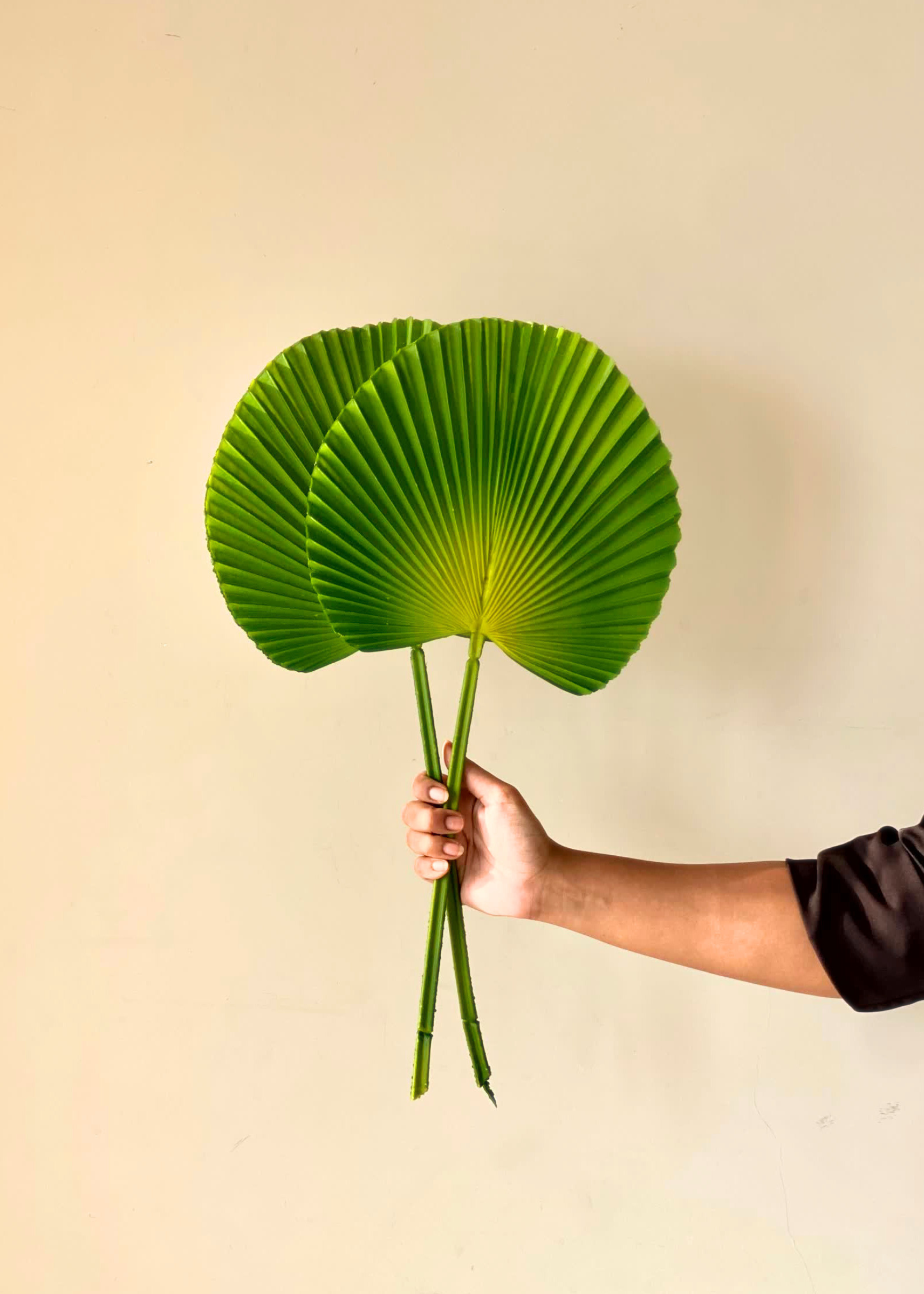 Artificial Fan Palm Sticks - Set of 2