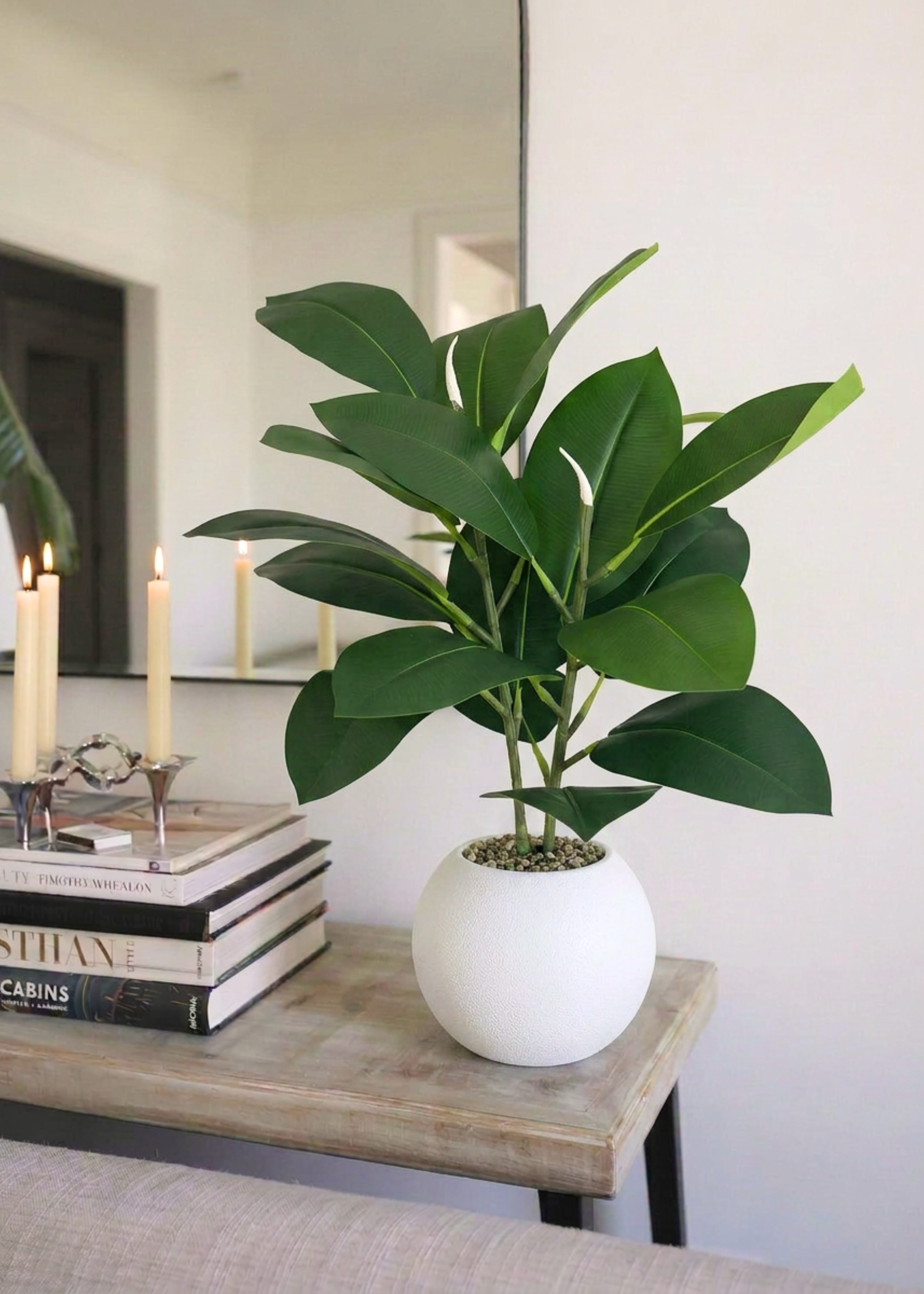 Artificial Rubber Leaf Plant ((White Pot) -  2 Feet