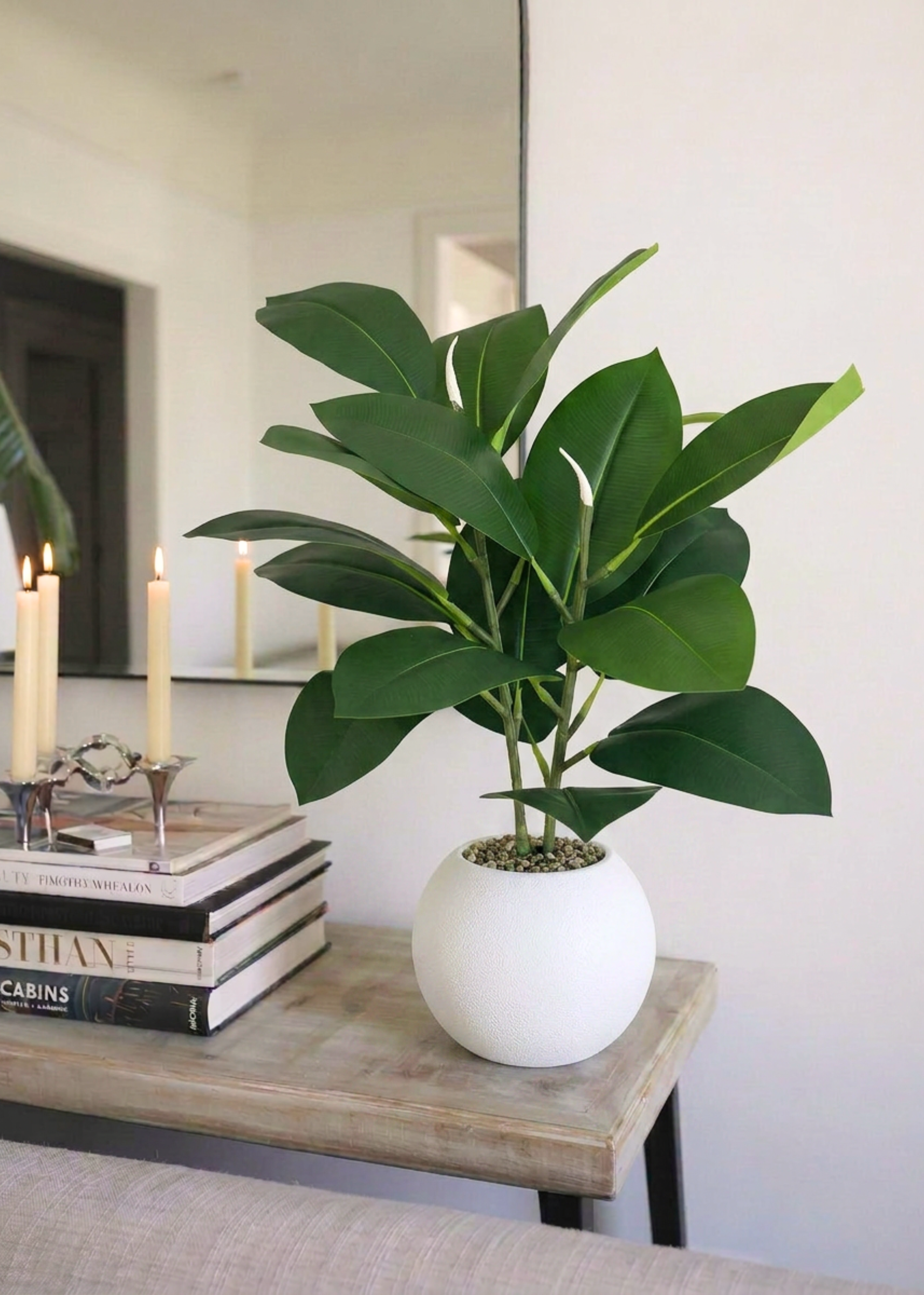 Artificial Rubber Leaf Plant ((White Pot) -  2 Feet