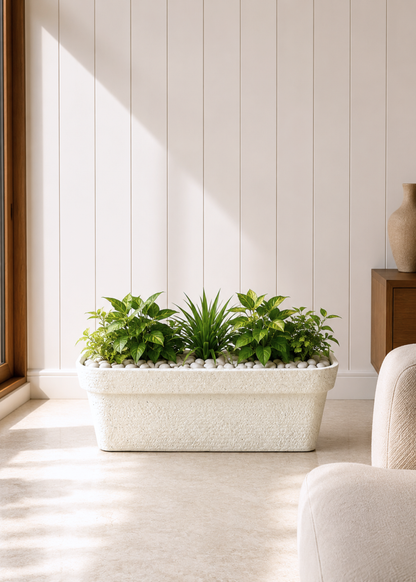 Cavon Rectangle Planters - Ivory