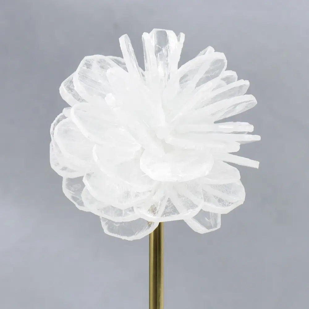 White Rose Artefact
