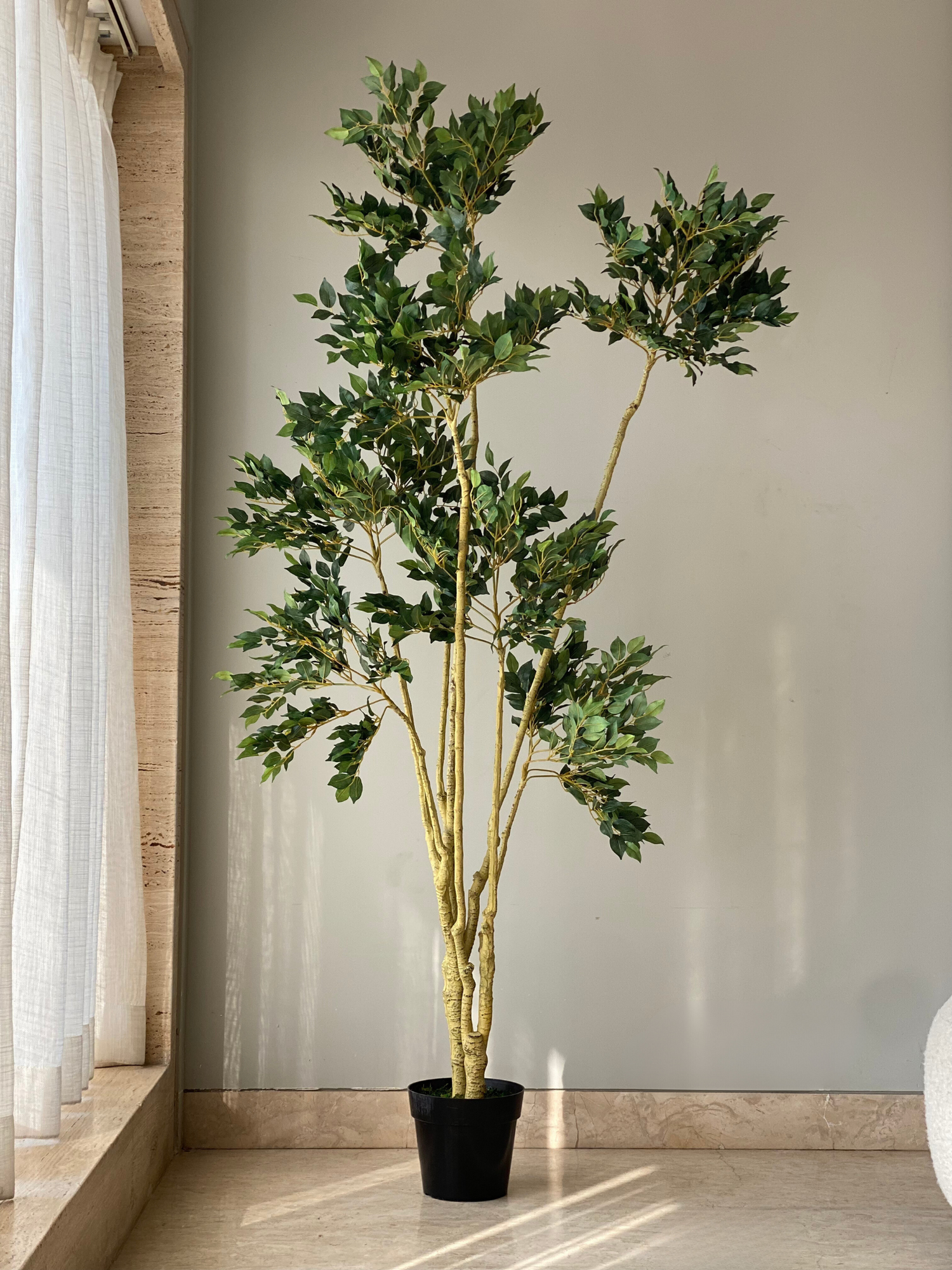 Tropical Ficus Artificial Tall Plant - 6.5 Feet