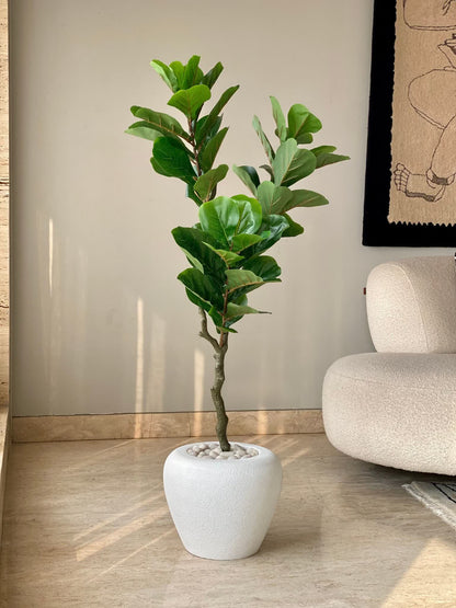 Artificial Glory Fiddle Leaf Plant - 4 Feet