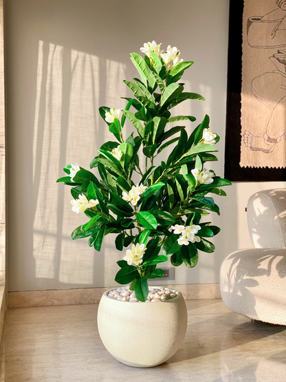 Artificial Ivory Frangipani Plant -  5 Feet