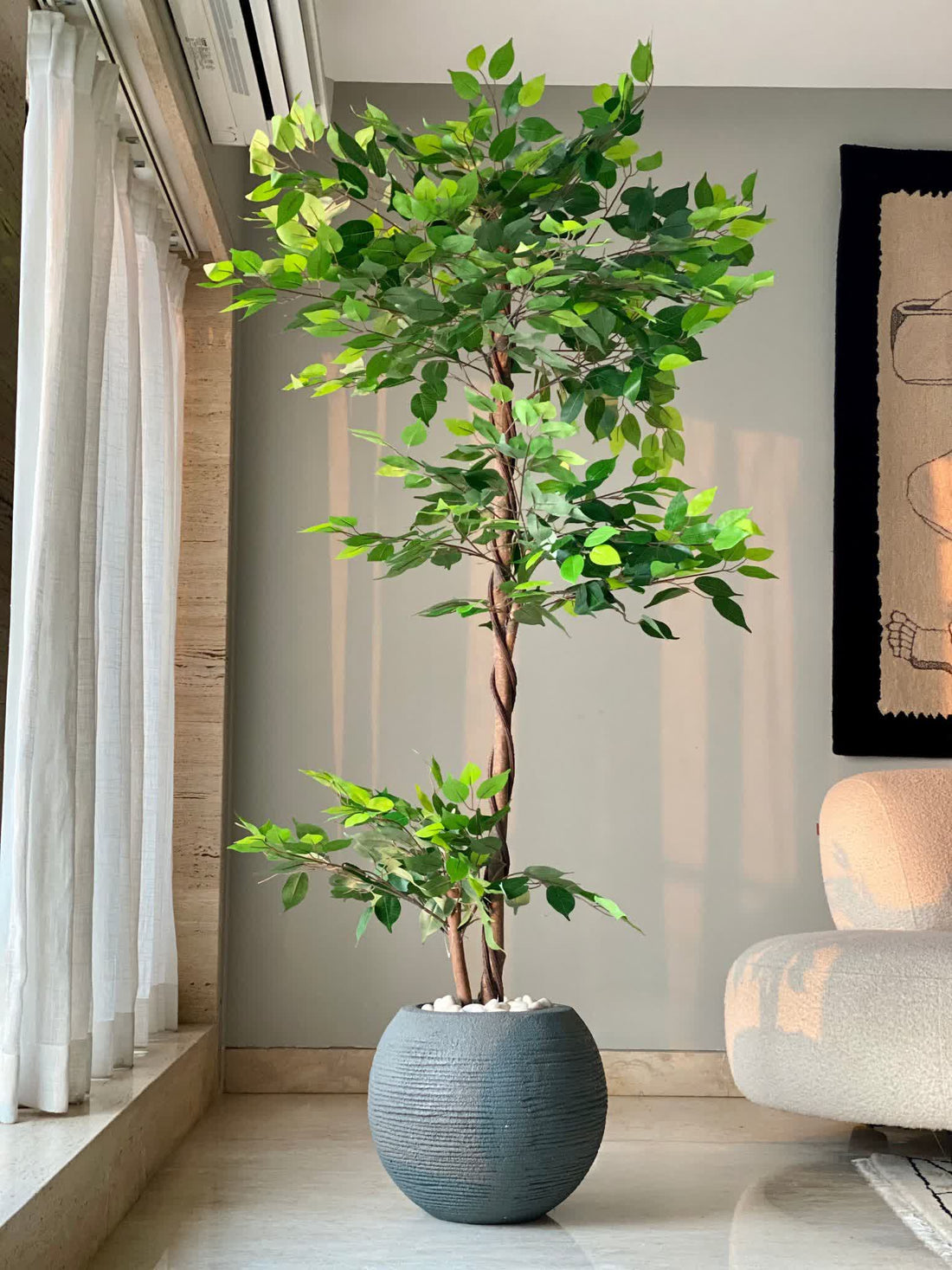 Artificial Bonsai Ficus Plant - 6 Feet