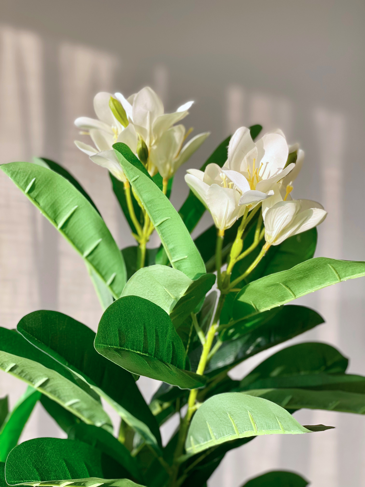 Artificial Ivory Frangipani Plant -  5 Feet