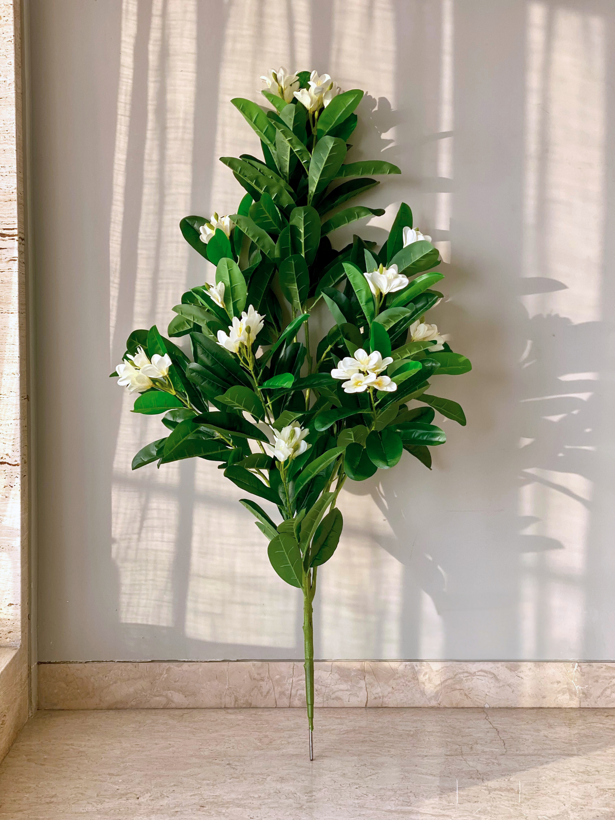 Artificial Ivory Frangipani Plant -  5 Feet