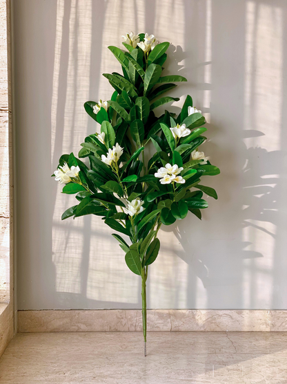 Artificial Ivory Frangipani Plant -  5 Feet