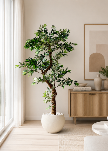 Artificial Twisted Ficus Tree - 6 Feet