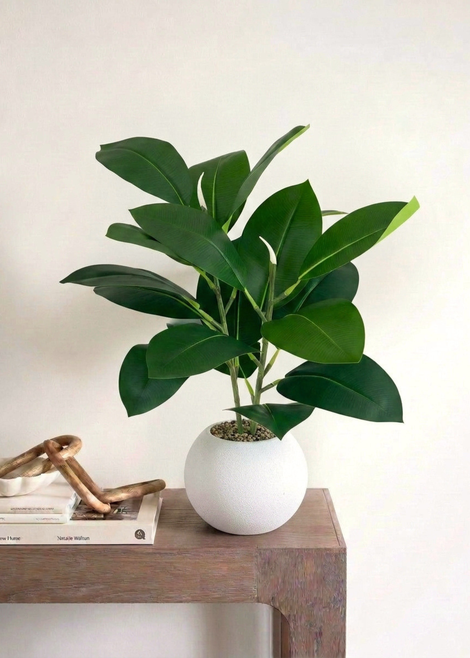 Artificial Rubber Leaf Plant ((White Pot) -  2 Feet