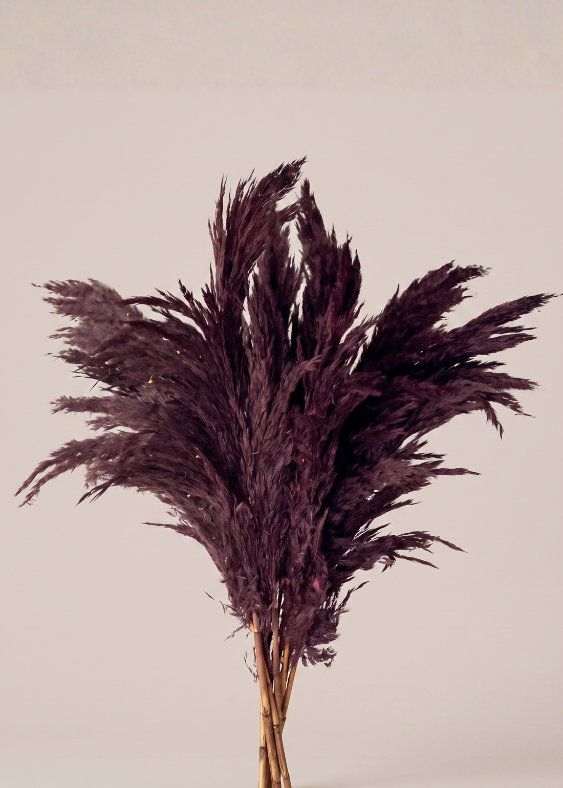 Artificial Feather Pampas Bunch - Burgundy