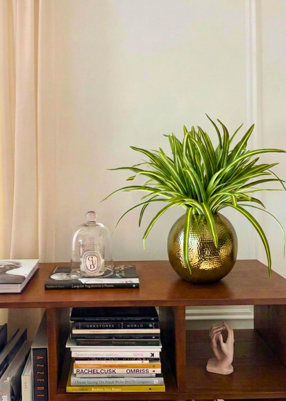 Artificial Yucca Dracenna Bunch Plant - Set of 2
