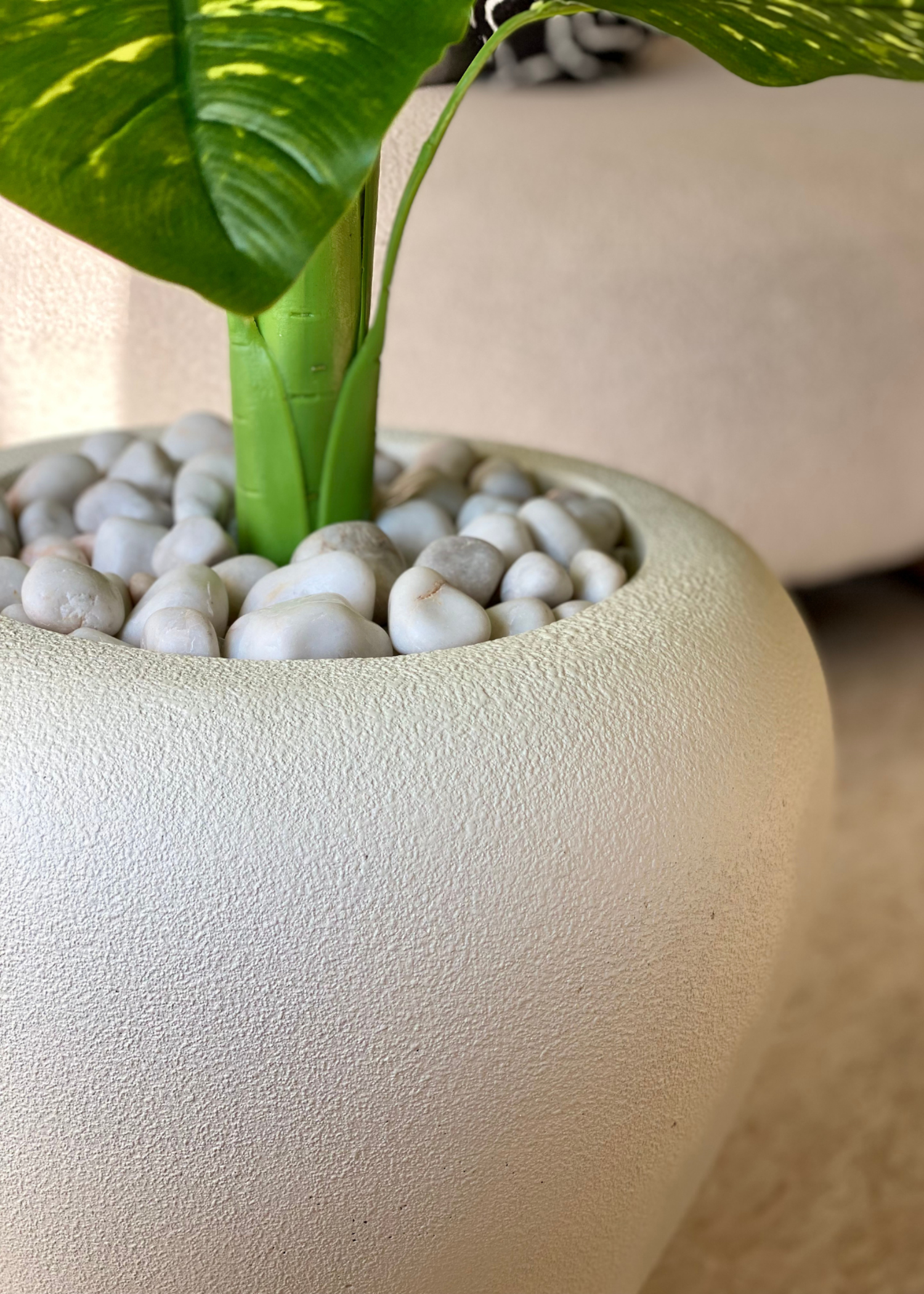 Duch Ivory Planter