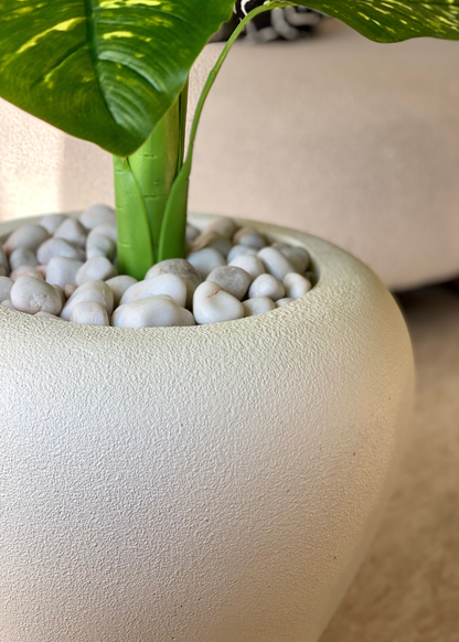 Duch Ivory Planter