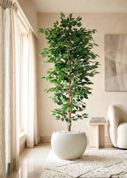 Artificial Weeping Ficus Plant - 7 Feet