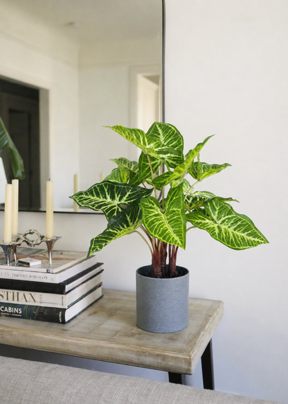 Artificial Varigated Pothos Plant - 1.5 Feet