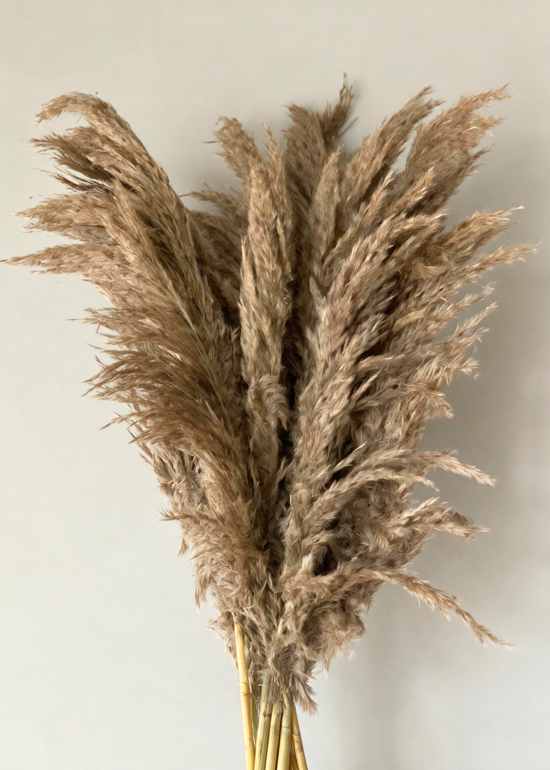Artificial Feather Pampas Bunch - Natural