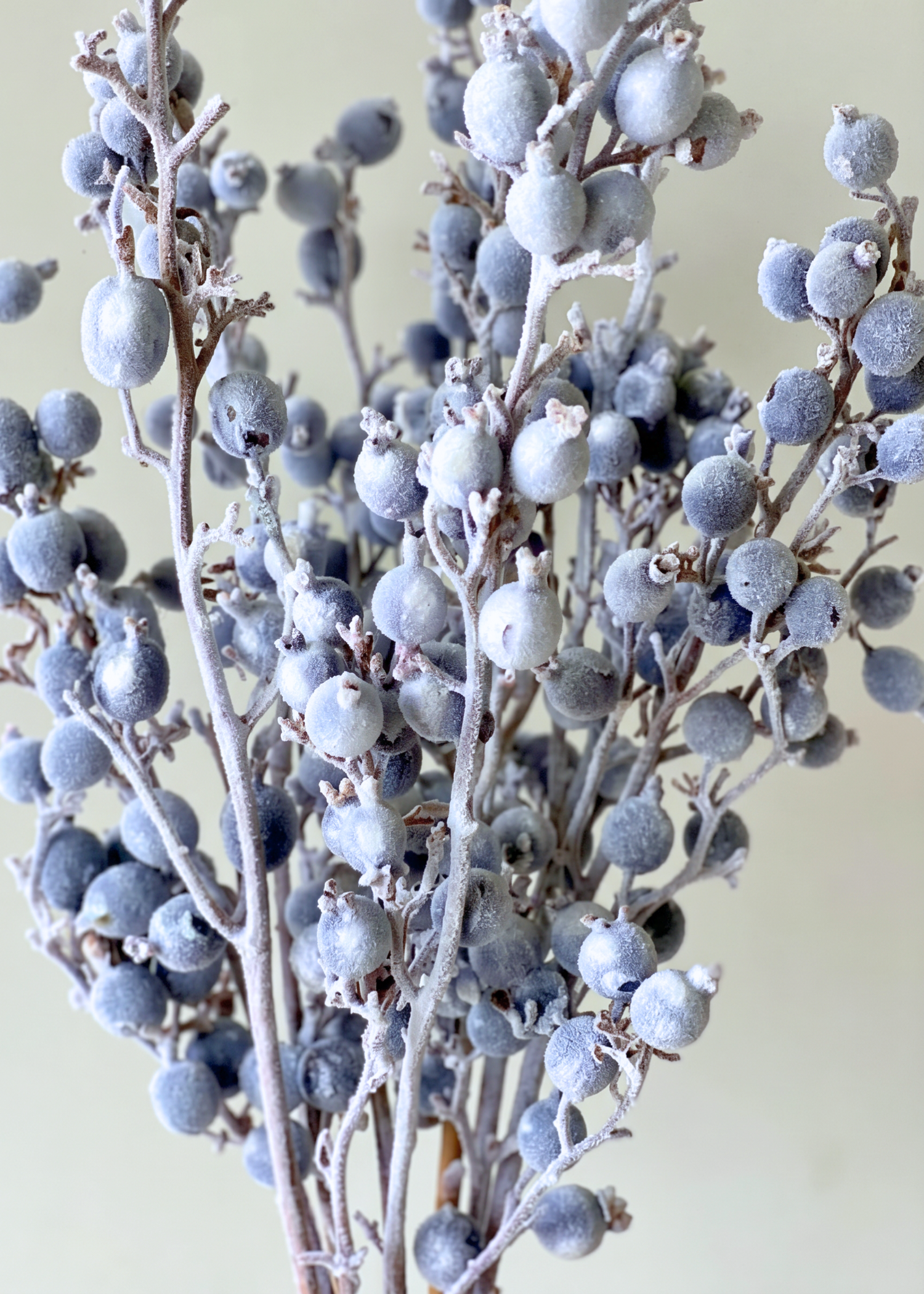 Frosted Berry Bunch - Set of 8