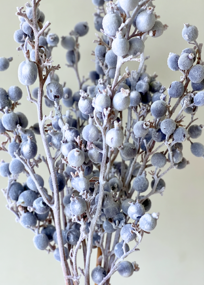 Frosted Berry Bunch - Set of 8