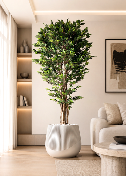 Artificial Natura Ficus Plant - 7 Feet