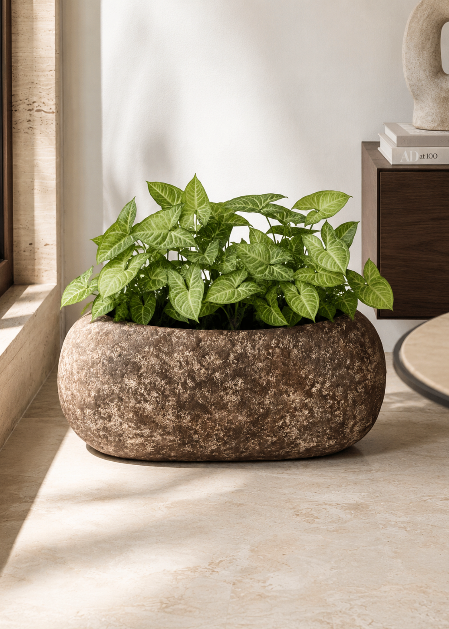 Fossil Basin Planters - Aged Brown