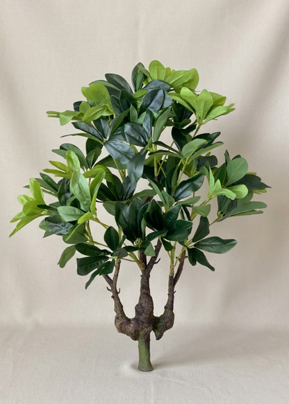 Artificial Schefflera Bonsai - 2 Feet