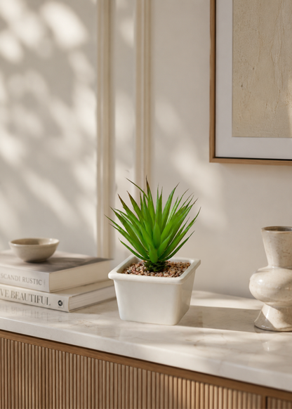 Artificial Haworthia Tabletop Plant