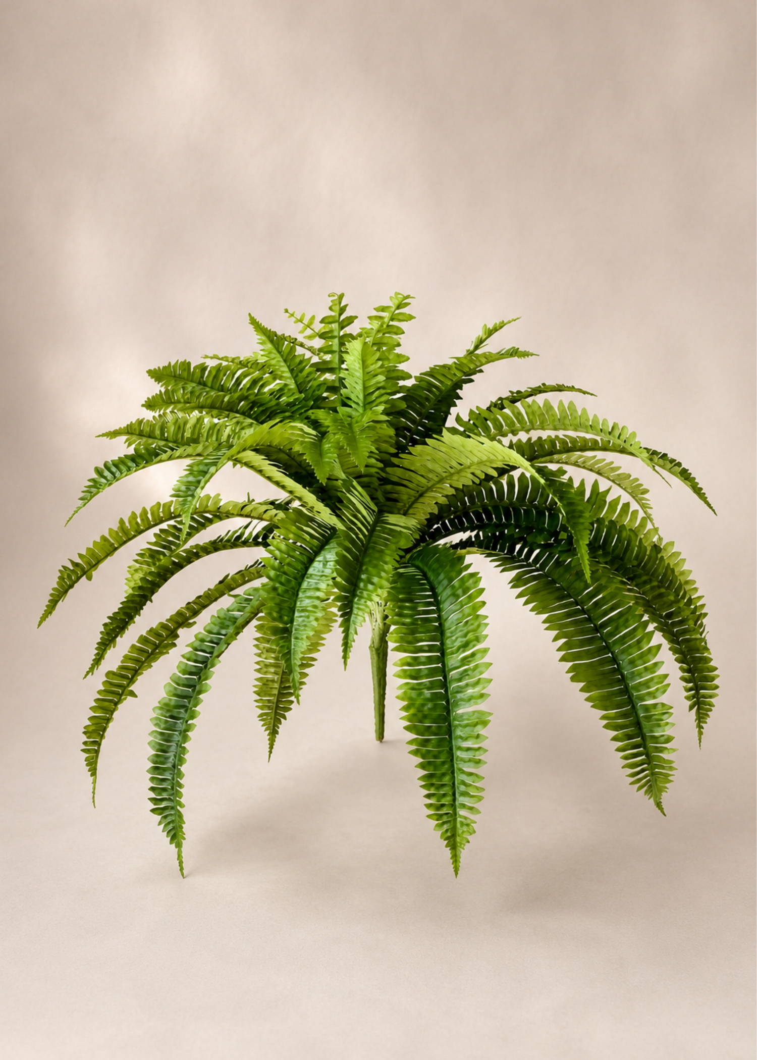 Artificial Grove Fern Plant - 2 Feet