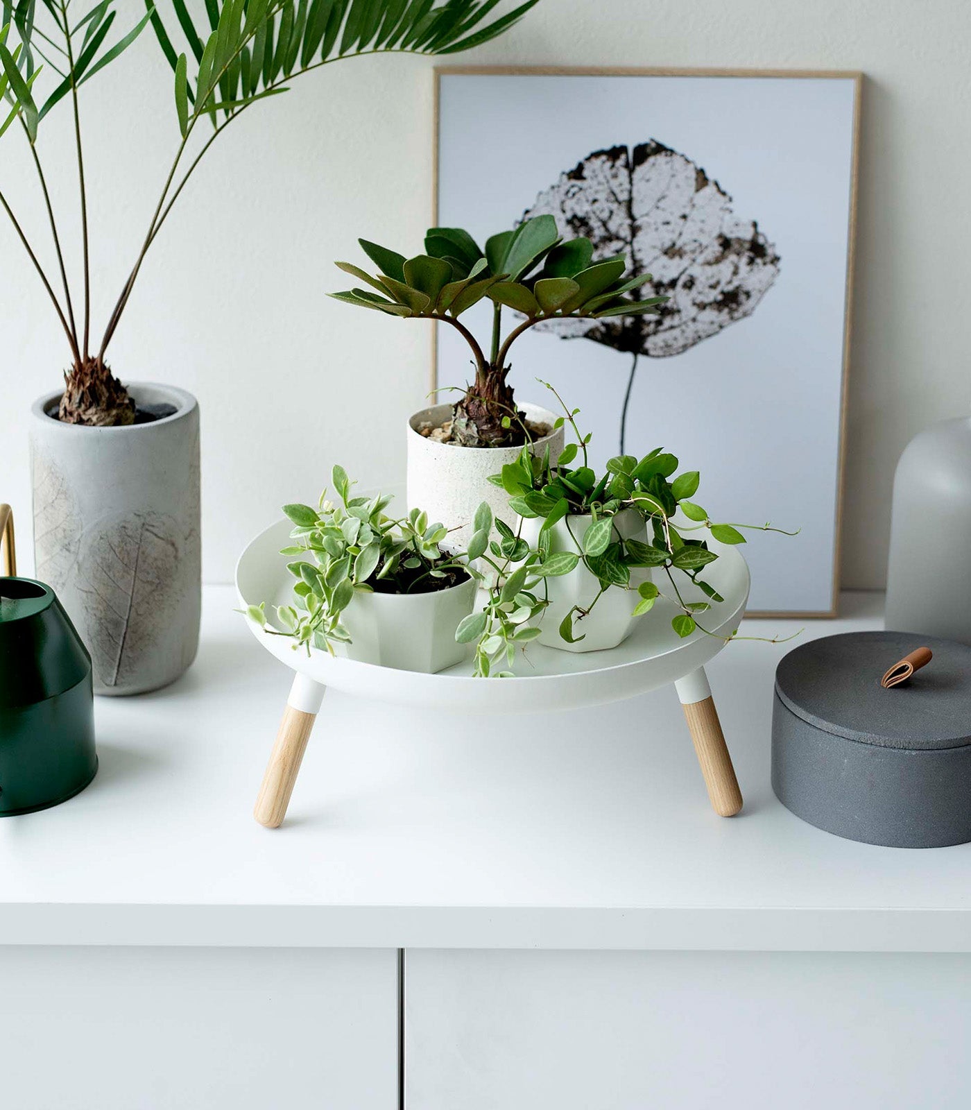 Countertop Pedestal Tray