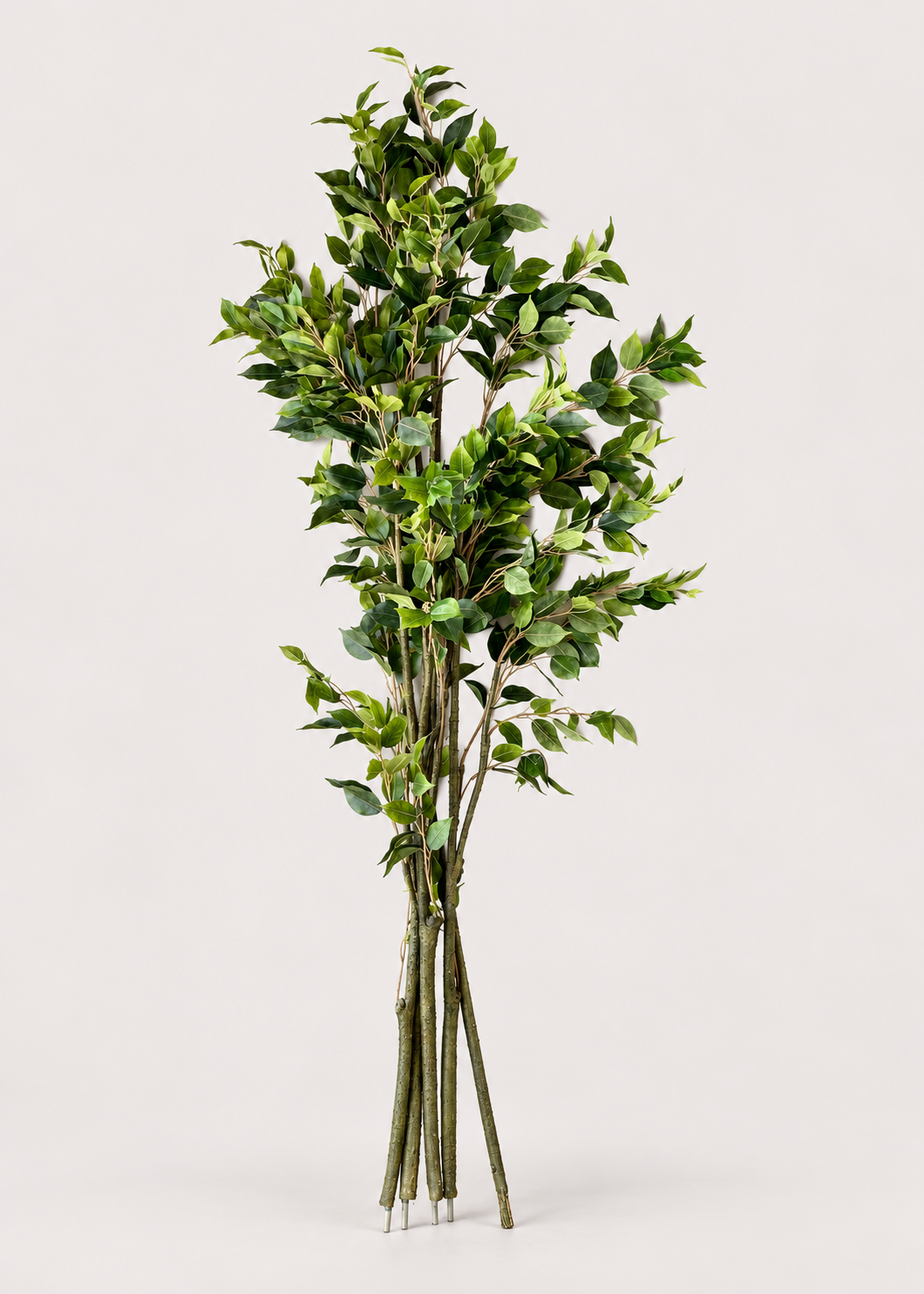 Artificial Weeping Fig Plant  - 6.2 Feet