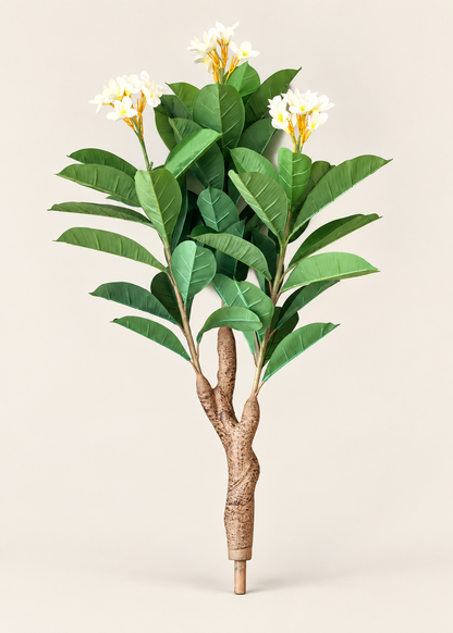 Artificial White Blossom Frangipani Plant - 5 Feet