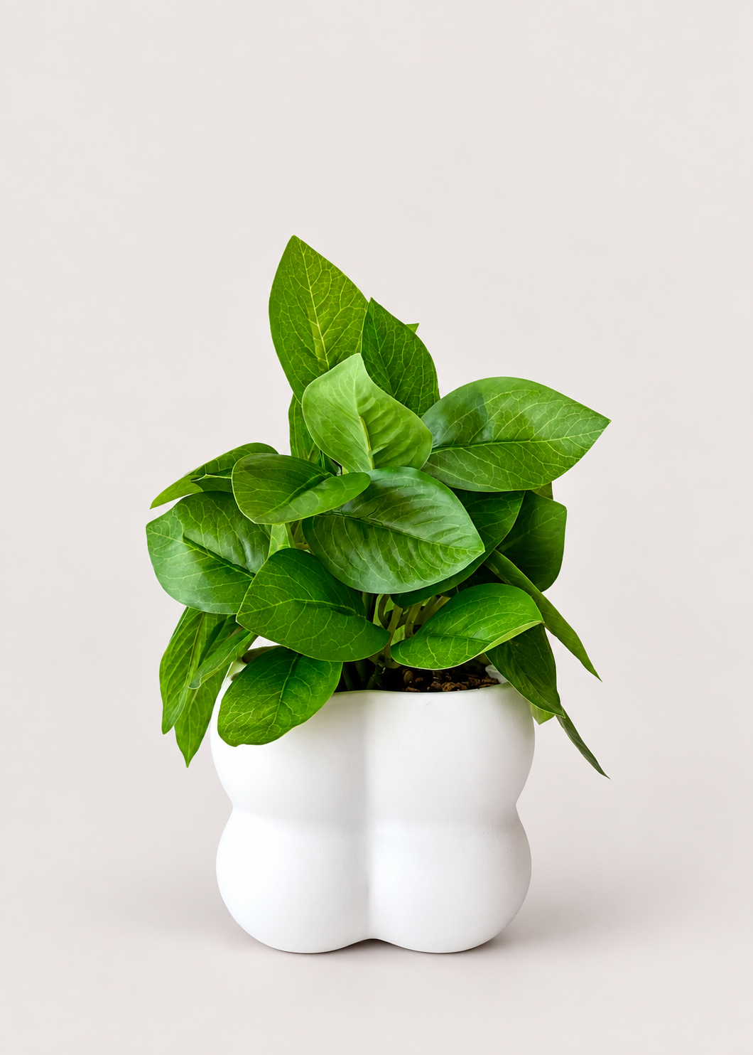 Artificial Eden Bloom Plant