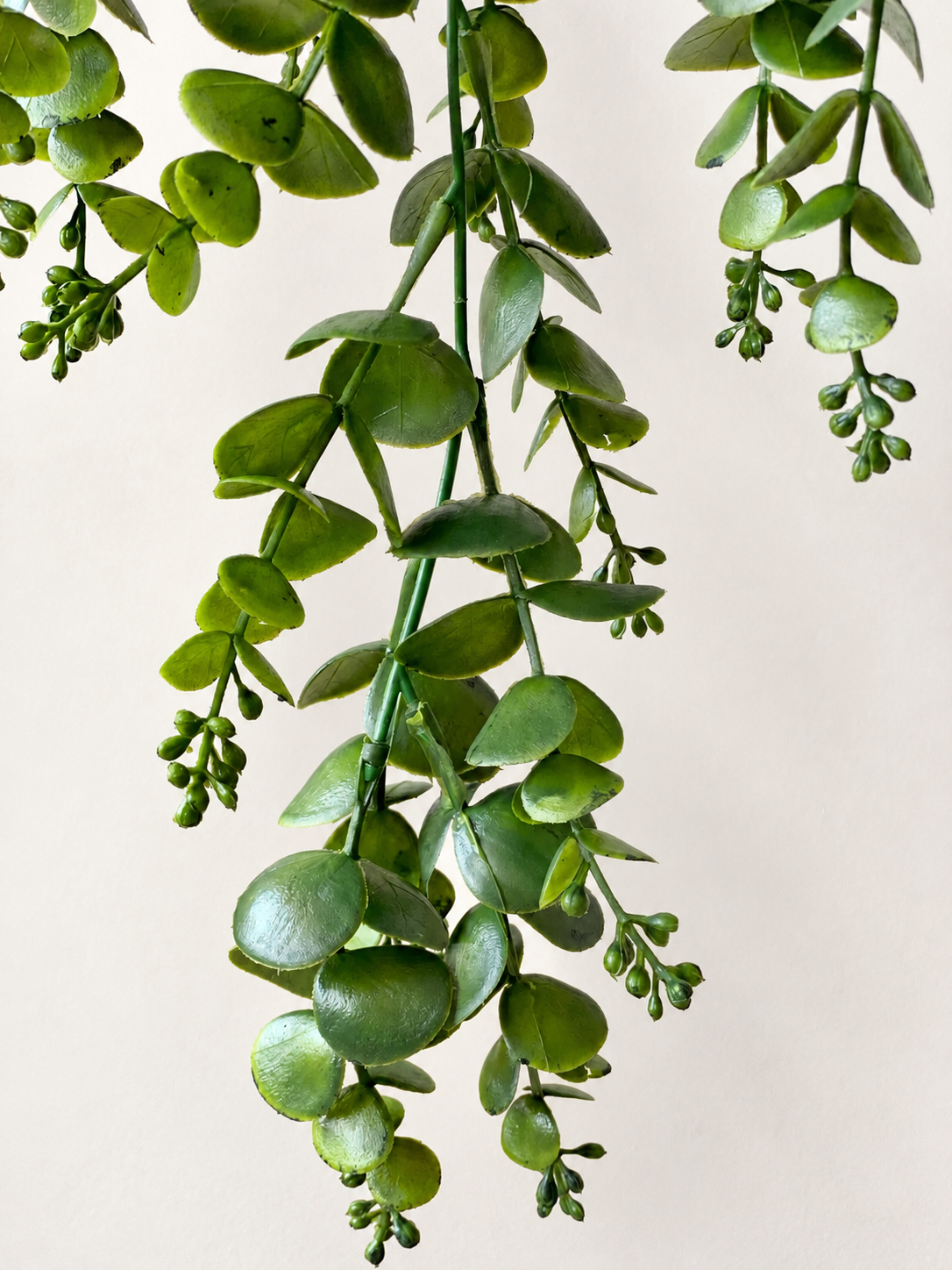 Artificial Cascading Eucalyptus Plant